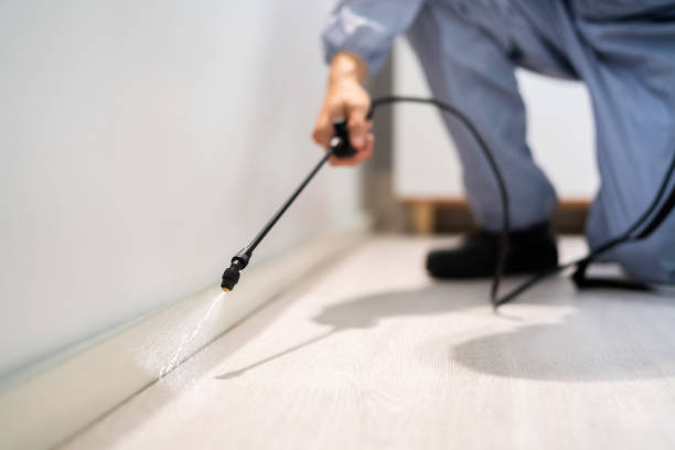 Licensed Cockroach Control service in DeCordova, TX - Nex Pest Control