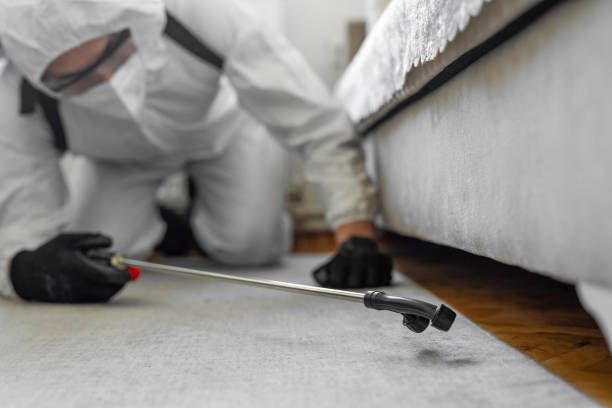 Professional Cockroach Control technician working in DeCordova, TX