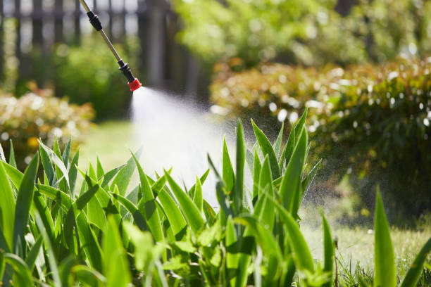 24/7 Emergency Cockroach Control experts in DeCordova, TX