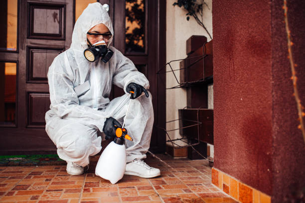 Reliable Cockroach Control contractor in DeCordova, TX by Nex Pest Control