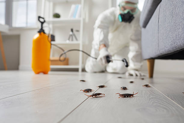 Trusted Fumigation Services service in DeCordova, TX - Nex Pest Control