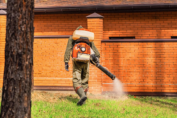 Trusted Bed Bug Control service in DeCordova, TX - Nex Pest Control